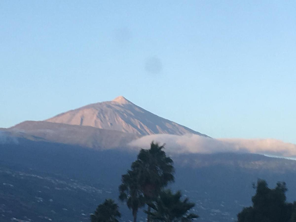 Apartamento Drago Lägenhet Santa Cruz de Tenerife Exteriör bild