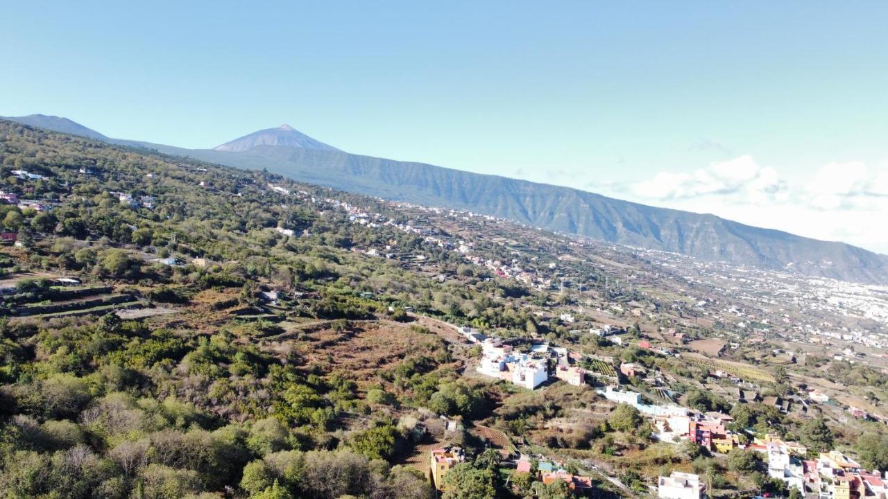 Apartamento Drago Lägenhet Santa Cruz de Tenerife Exteriör bild